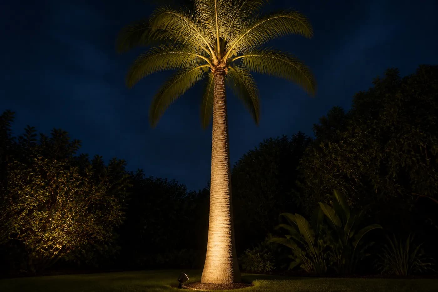 A landscape spotlight close to a palm trunk sending a narrow warm beam up the bark into the frond crown at night.