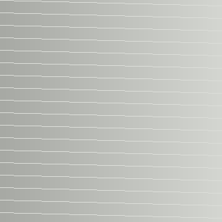 Stainless Steel 304